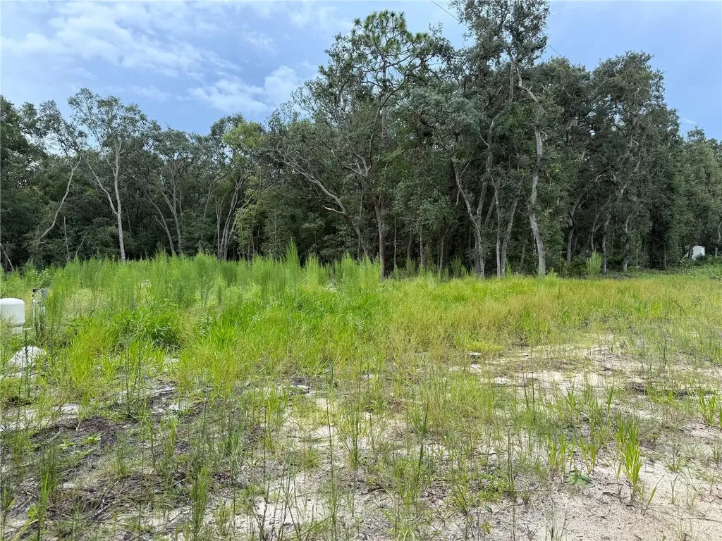 106 Jackson Avenue Interlachen FL 32148