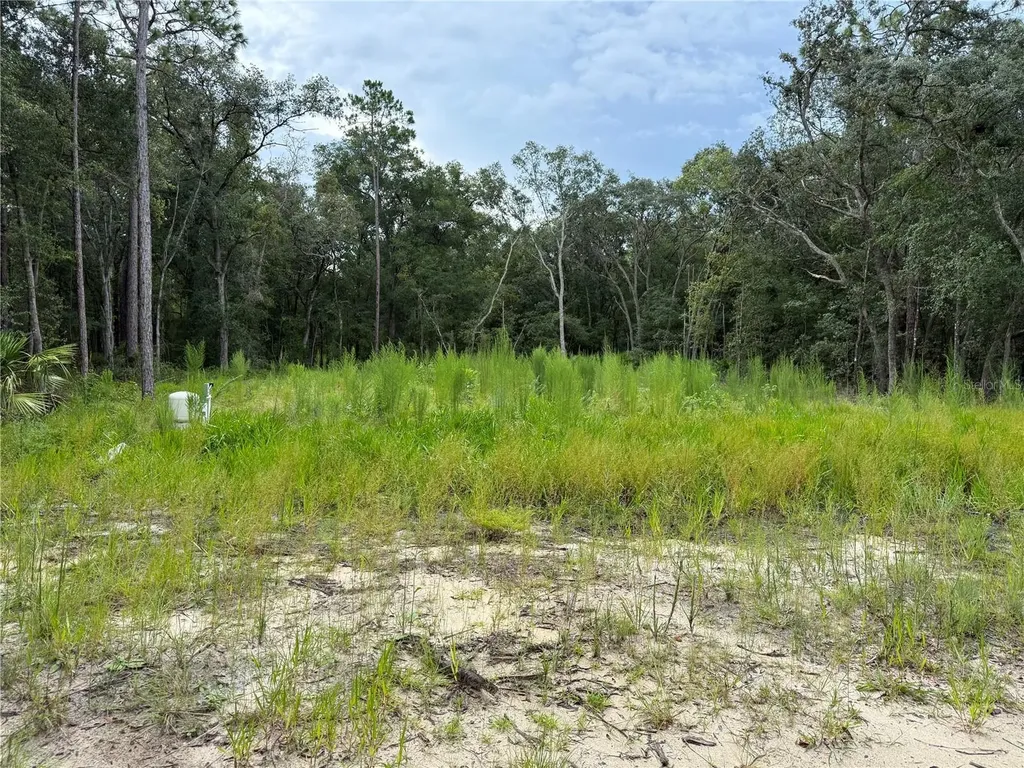 106 Jackson Avenue Interlachen FL 32148