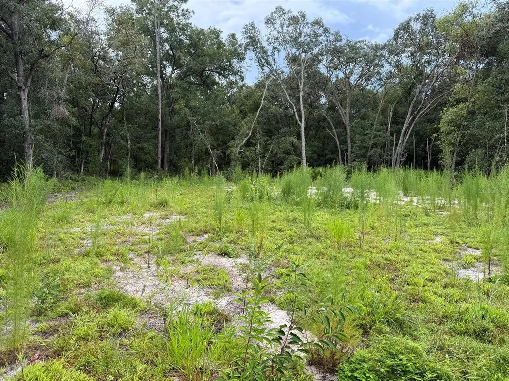 106 Jackson Avenue Interlachen FL 32148