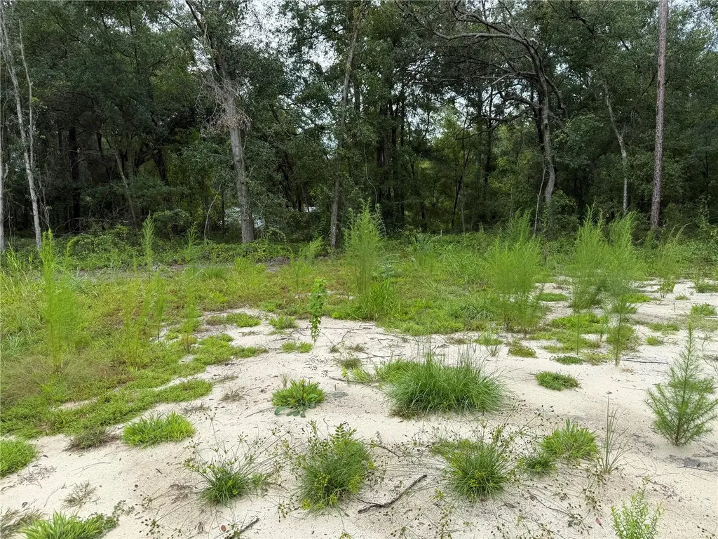106 Jackson Avenue Interlachen FL 32148