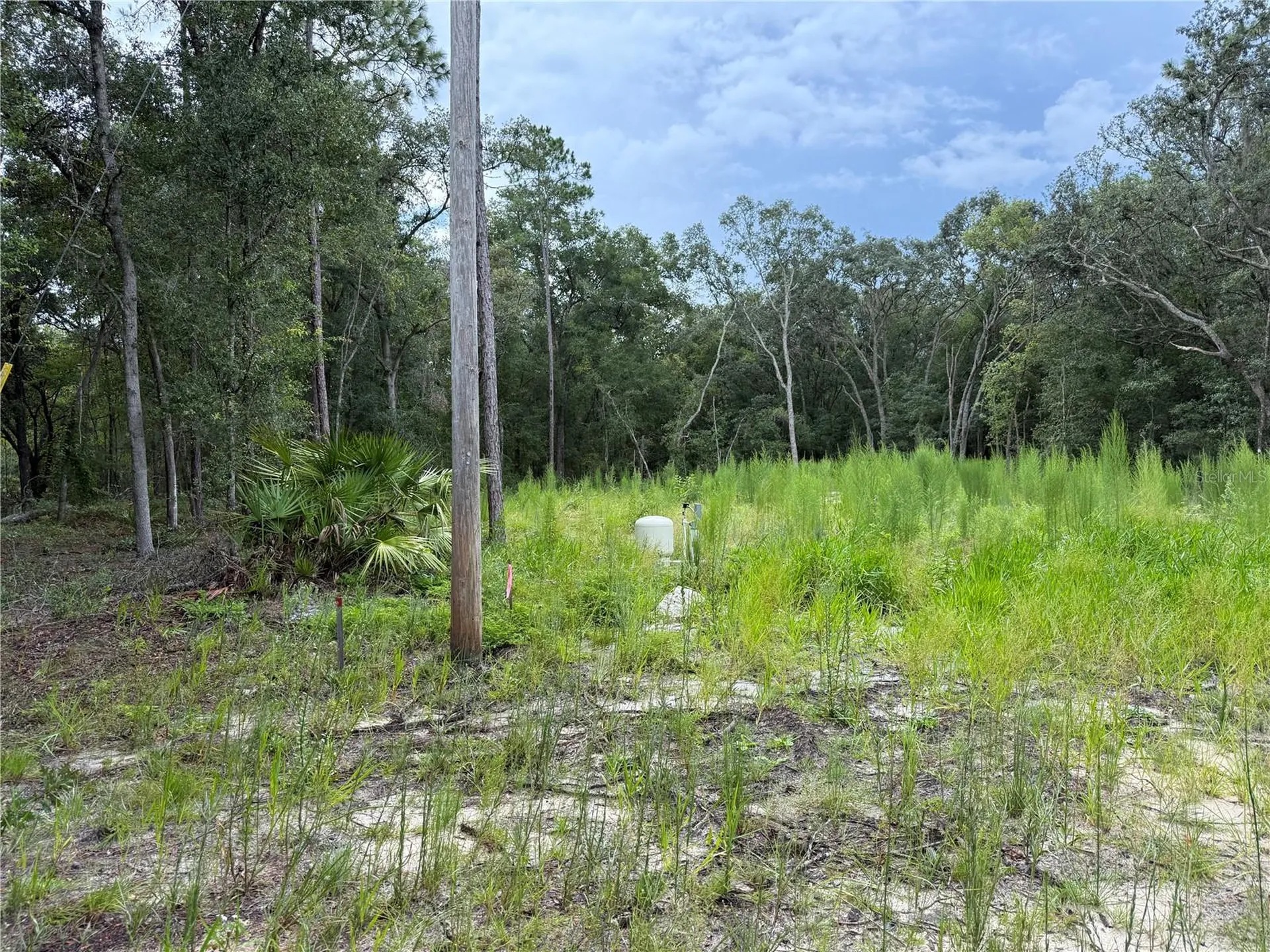 106 Jackson Avenue Interlachen FL 32148