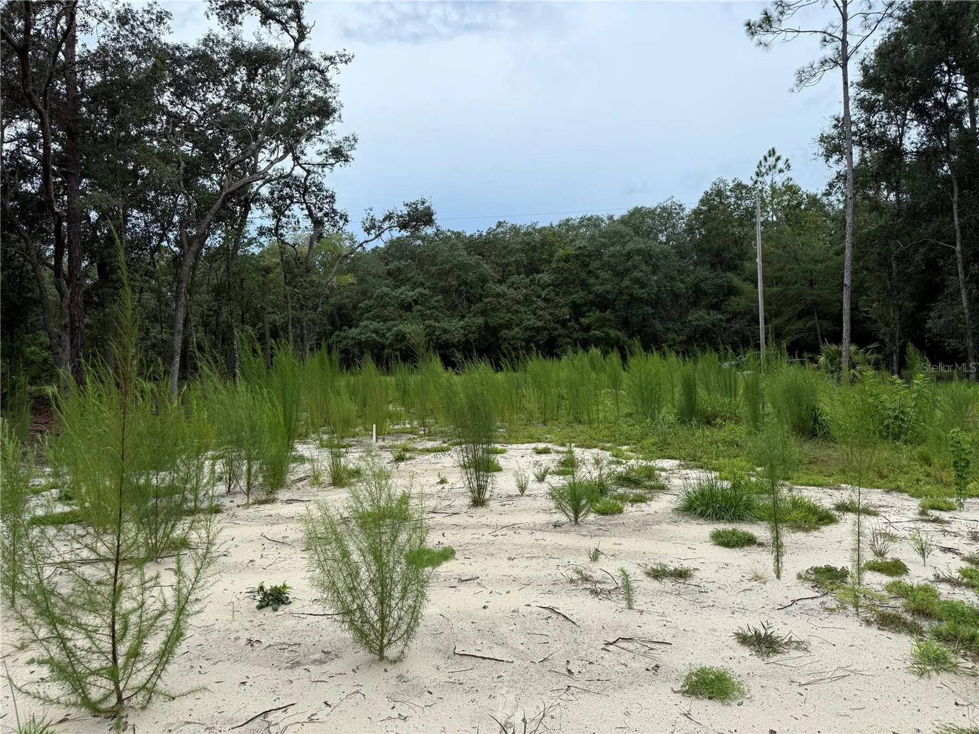 106 Jackson Avenue Interlachen FL 32148