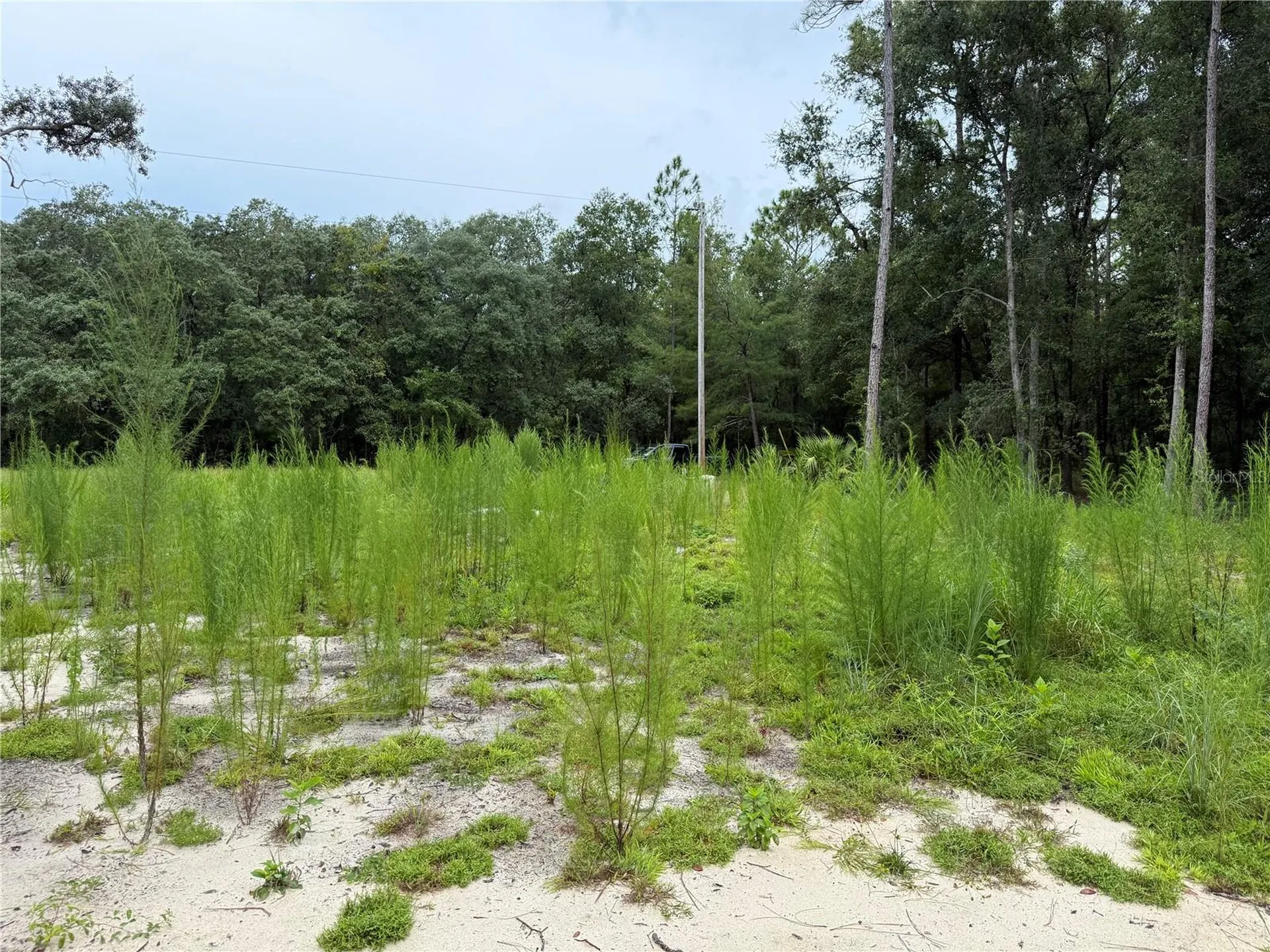 106 Jackson Avenue Interlachen FL 32148