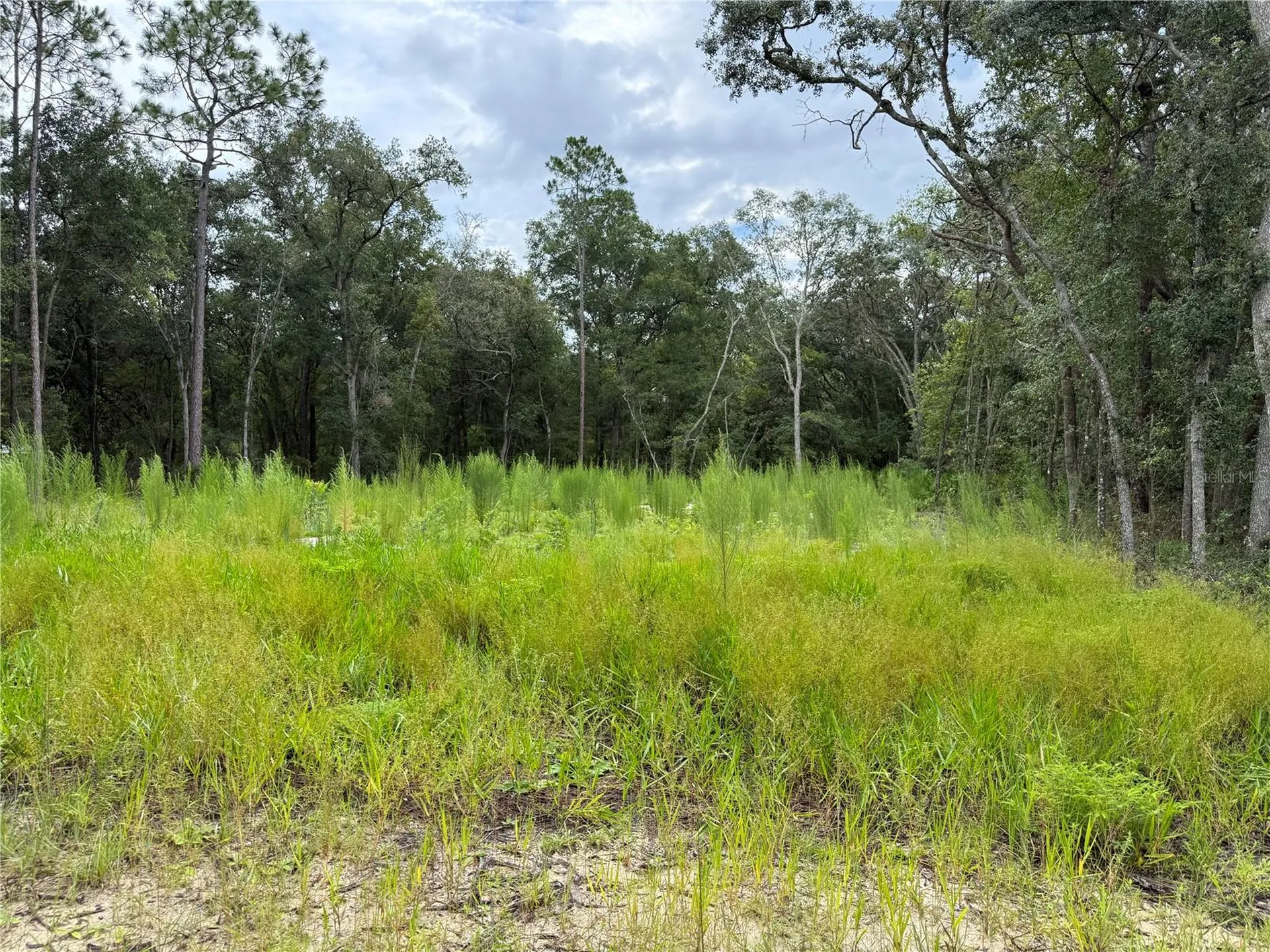 106 Jackson Avenue Interlachen FL 32148
