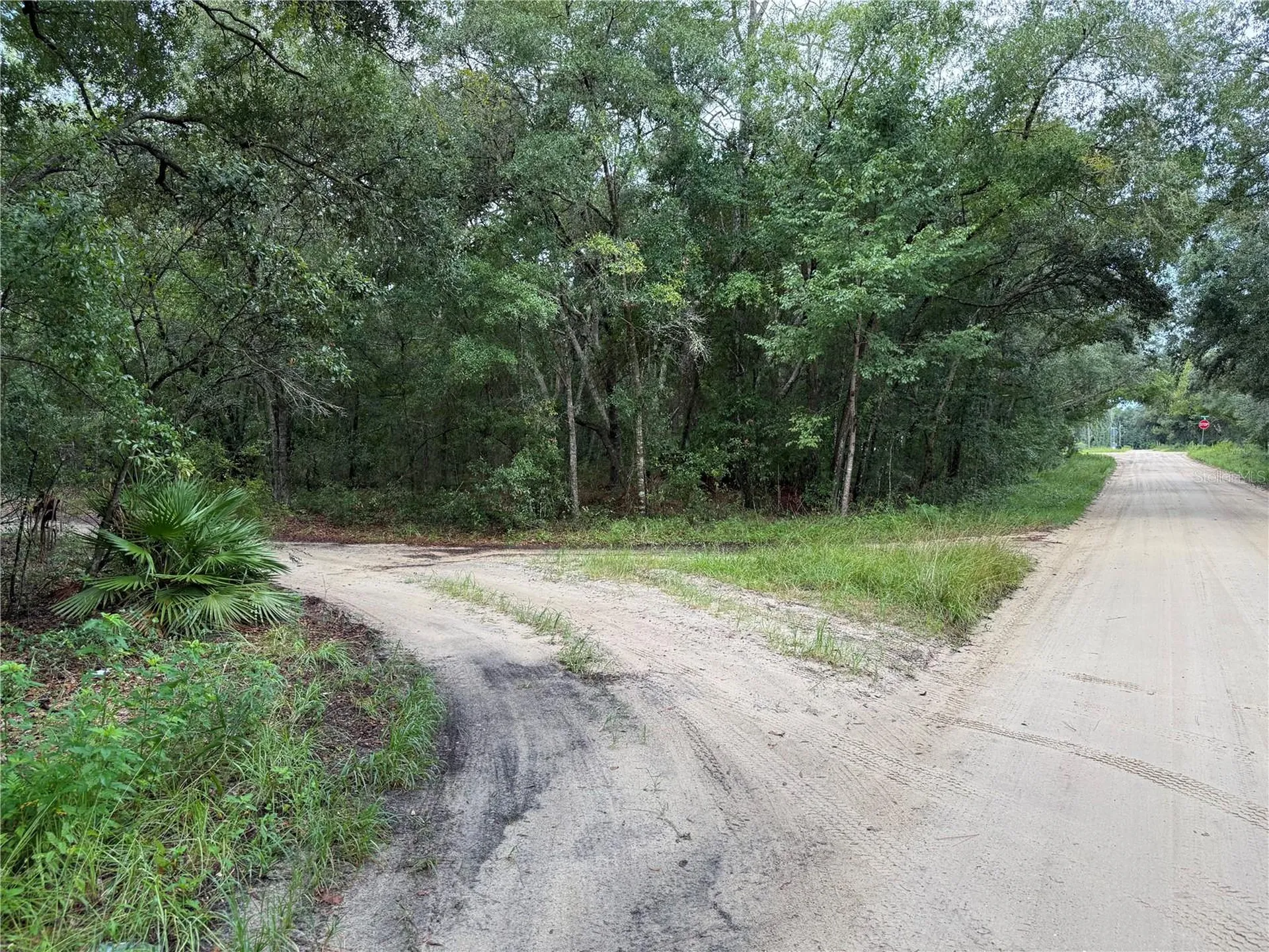 106 Jackson Avenue Interlachen FL 32148