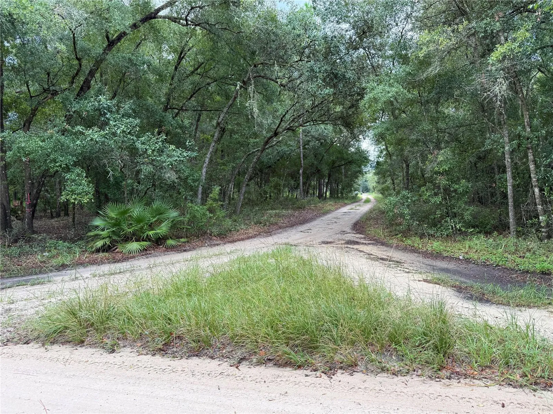 106 Jackson Avenue Interlachen FL 32148