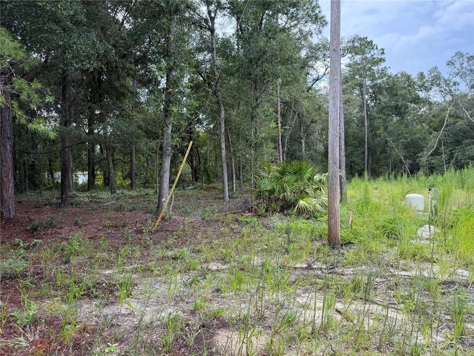106 Jackson Avenue Interlachen FL 32148