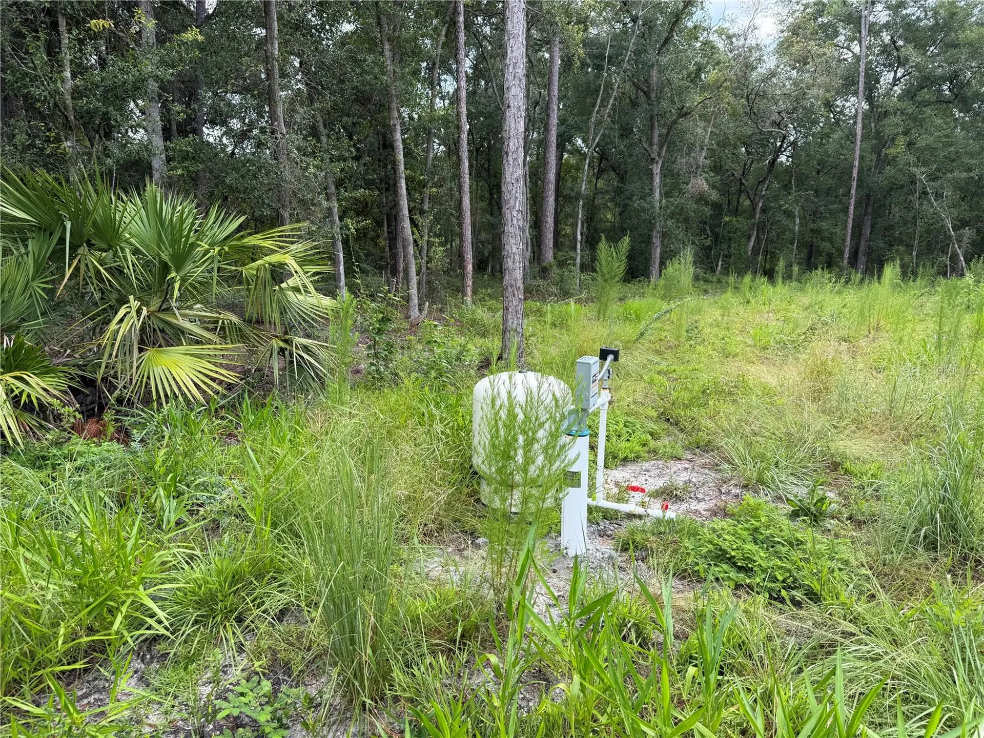 106 Jackson Avenue Interlachen FL 32148