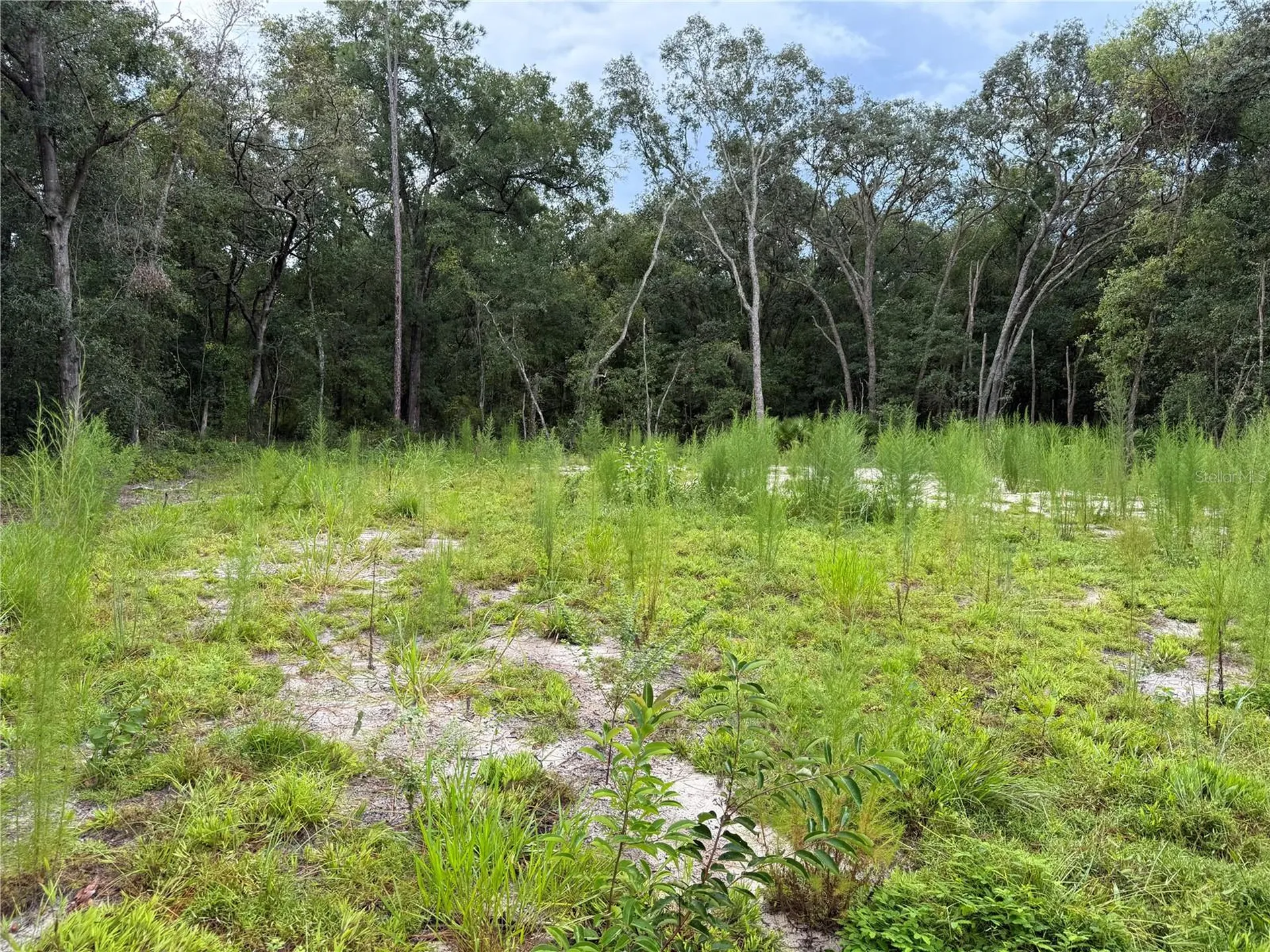 106 Jackson Avenue Interlachen FL 32148