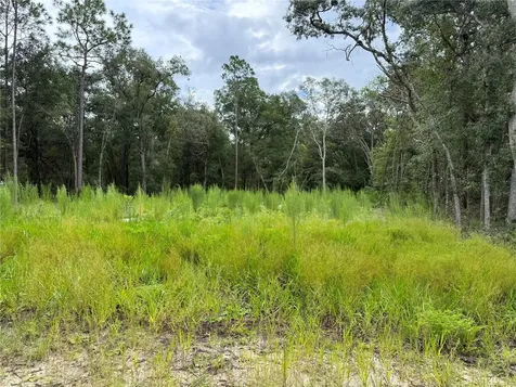 106 Jackson Avenue Interlachen FL 32148