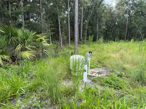 106 Jackson Avenue Interlachen FL 32148