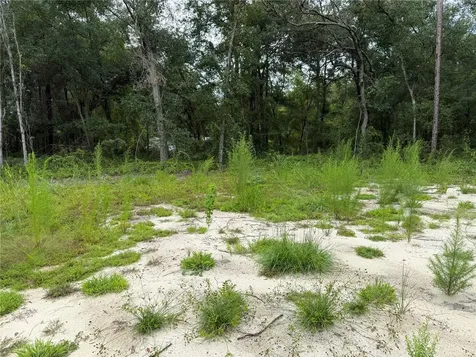 106 Jackson Avenue Interlachen FL 32148
