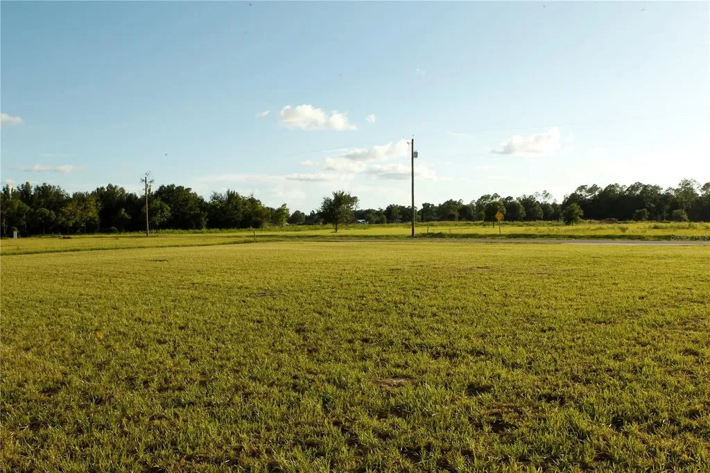 14964 Crimson Oaks Trail Dade City FL 33525