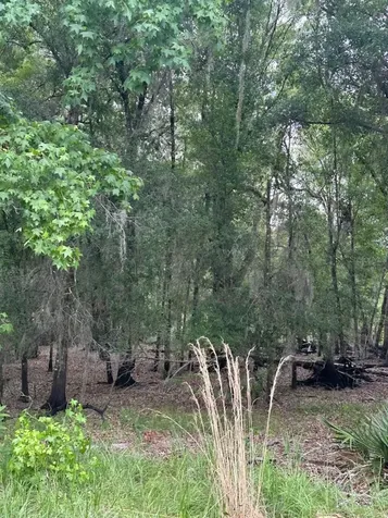 0 Palamino Lake Drive Dade City FL 33523