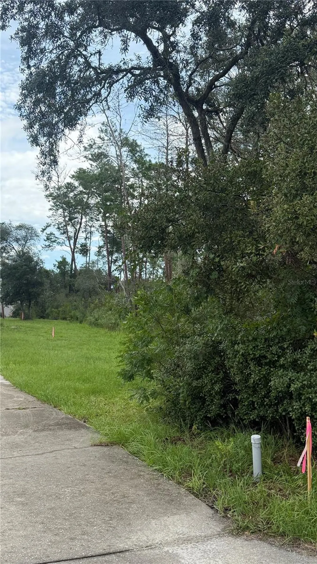 Tbd SW 39th Court Ocala FL 34476