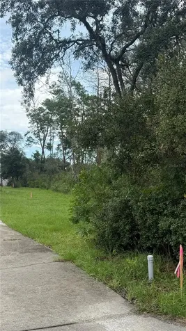 Tbd SW 39th Court Ocala FL 34476