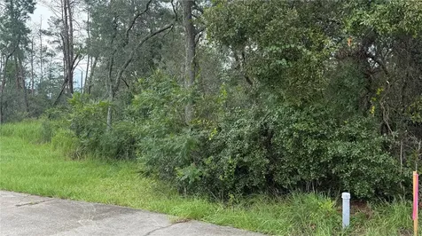 Tbd SW 39th Court Ocala FL 34476