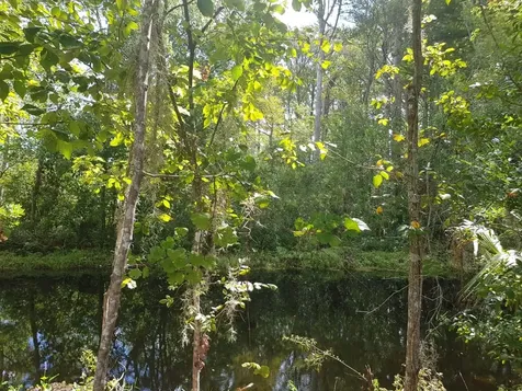 69 Zephyr Lily Trail Palm Coast FL 32164