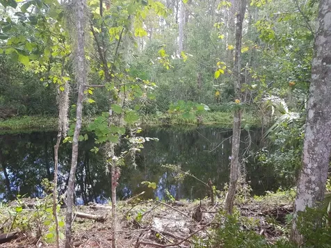69 Zephyr Lily Trail Palm Coast FL 32164