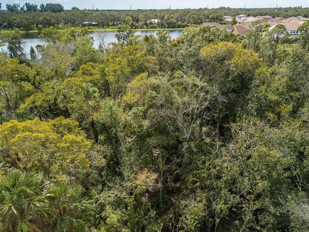 Quarter Horse Road Sarasota FL 34241