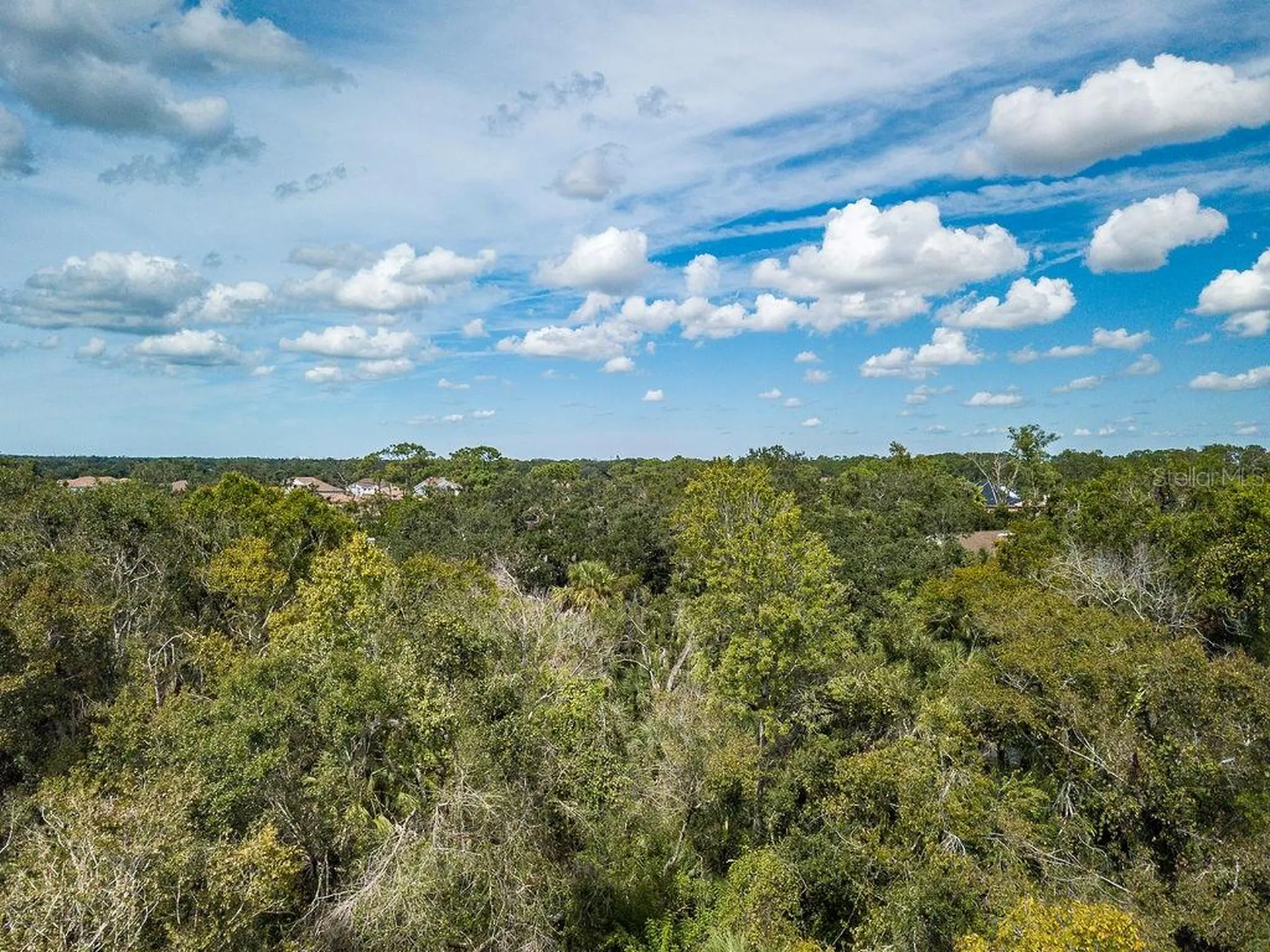 Quarter Horse Road Sarasota FL 34241