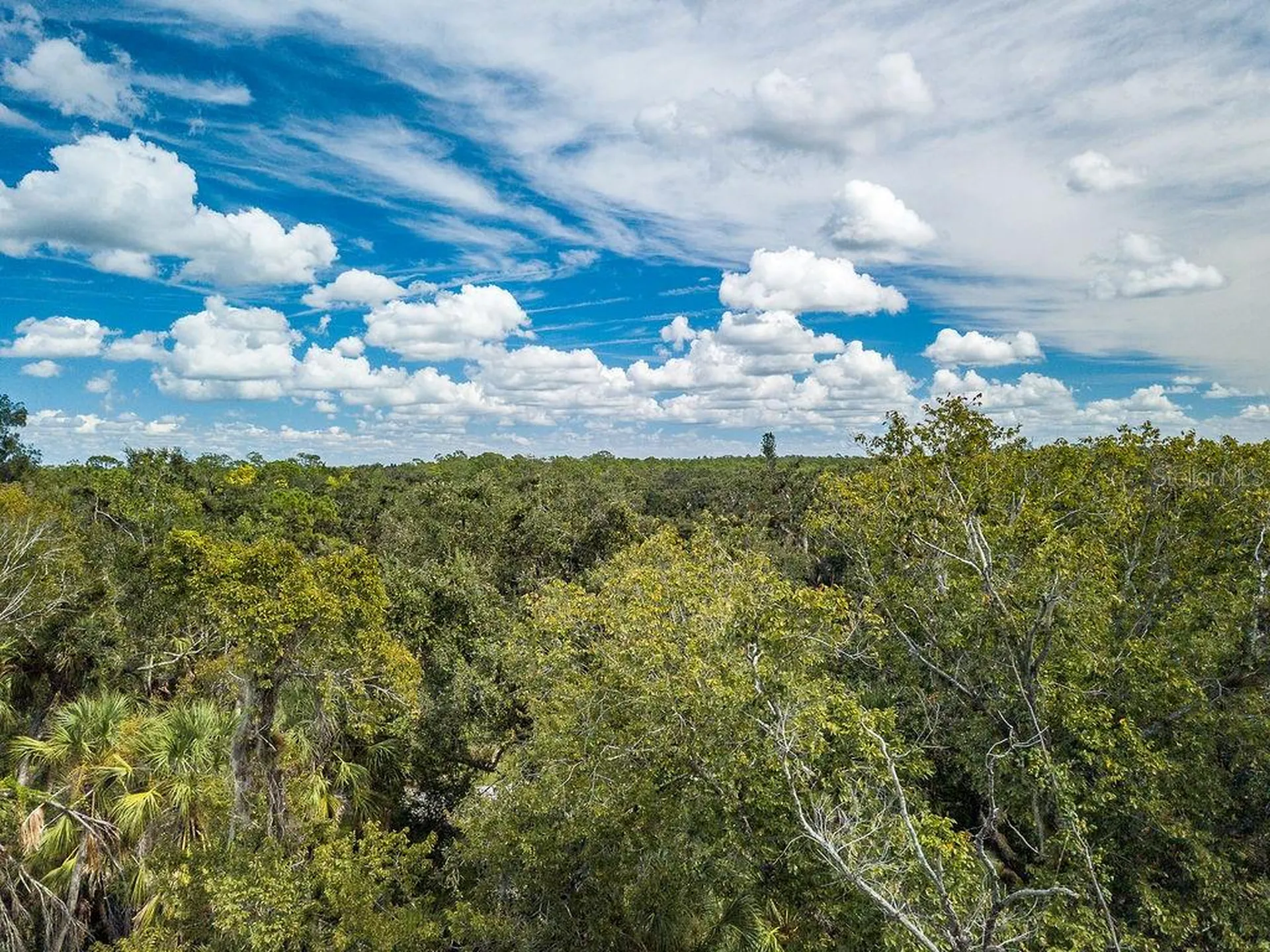 Quarter Horse Road Sarasota FL 34241