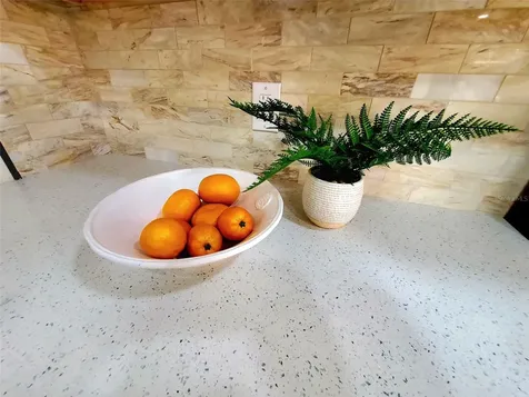 382 Waterford Circle E Tarpon Springs FL 34688