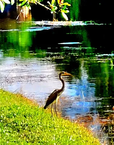 382 Waterford Circle E Tarpon Springs FL 34688