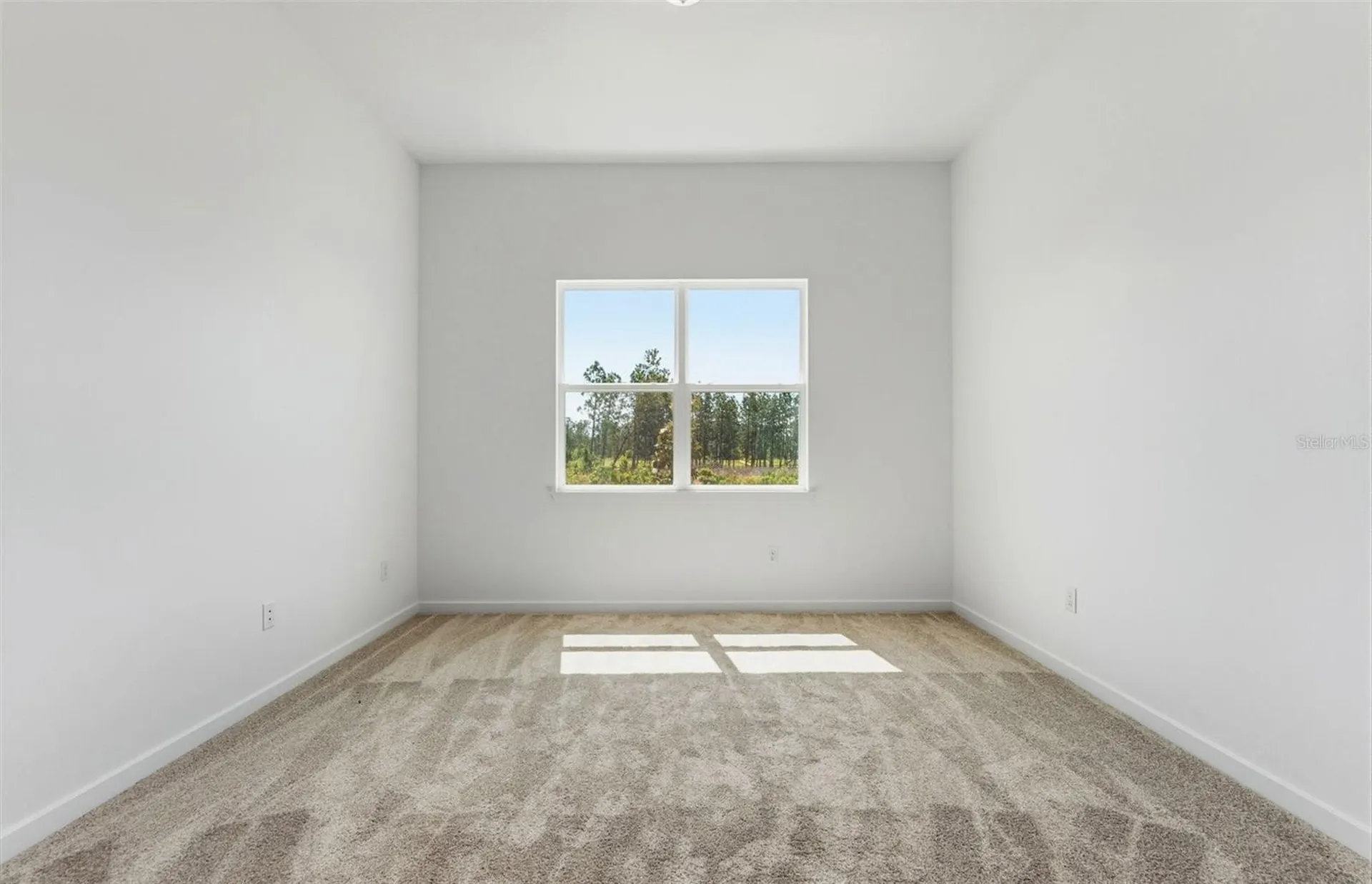 35060 Colstrip Trail Zephyrhills FL 33541