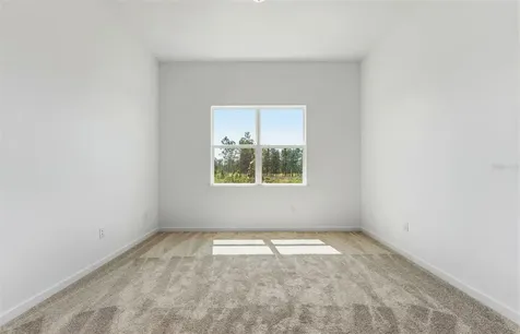 35060 Colstrip Trail Zephyrhills FL 33541