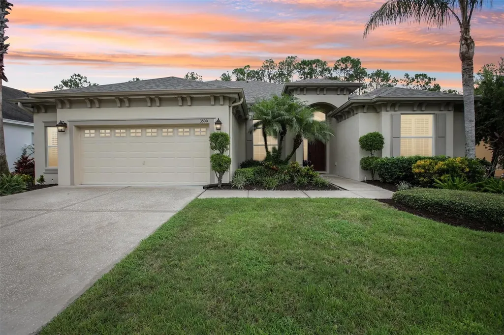 3500 Grassglen Place Wesley Chapel FL 33544