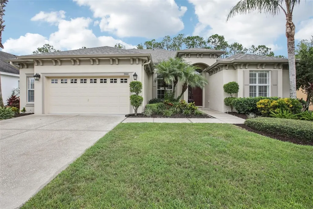 3500 Grassglen Place Wesley Chapel FL 33544