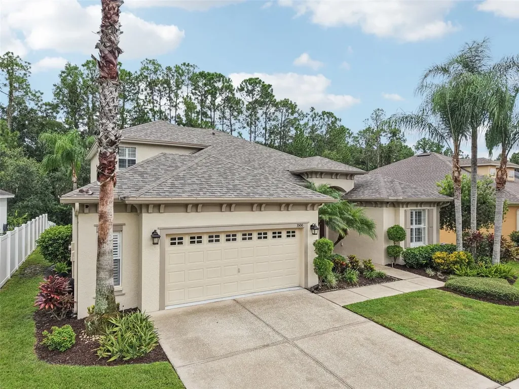 3500 Grassglen Place Wesley Chapel FL 33544