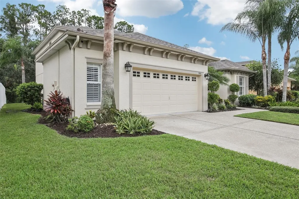 3500 Grassglen Place Wesley Chapel FL 33544