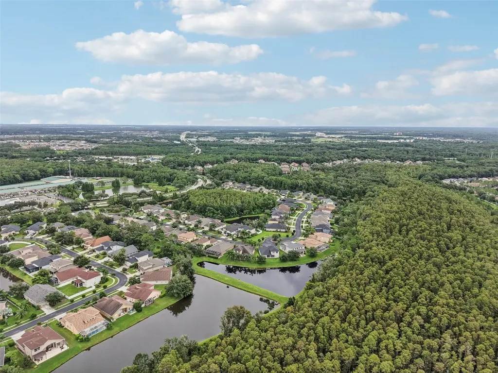 3500 Grassglen Place Wesley Chapel FL 33544
