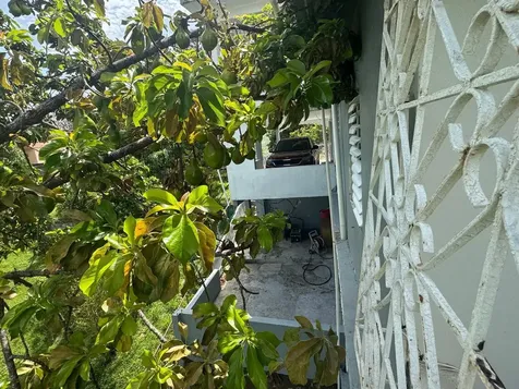 Carr. 371, Km. 1.4 Bo. Almácigo Alto, Sector Los Quiñones Yauco PR 00698
