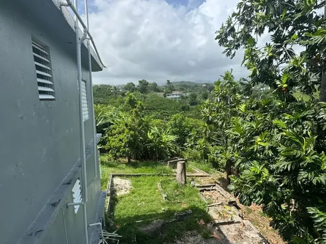 Carr. 371, Km. 1.4 Bo. Almácigo Alto, Sector Los Quiñones Yauco PR 00698