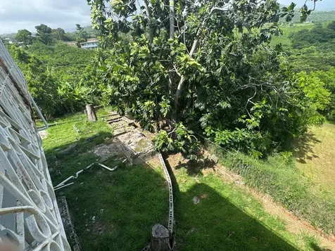 Carr. 371, Km. 1.4 Bo. Almácigo Alto, Sector Los Quiñones Yauco PR 00698