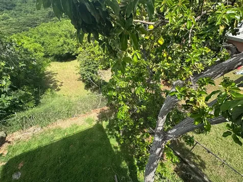 Carr. 371, Km. 1.4 Bo. Almácigo Alto, Sector Los Quiñones Yauco PR 00698