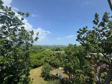 Carr. 371, Km. 1.4 Bo. Almácigo Alto, Sector Los Quiñones Yauco PR 00698