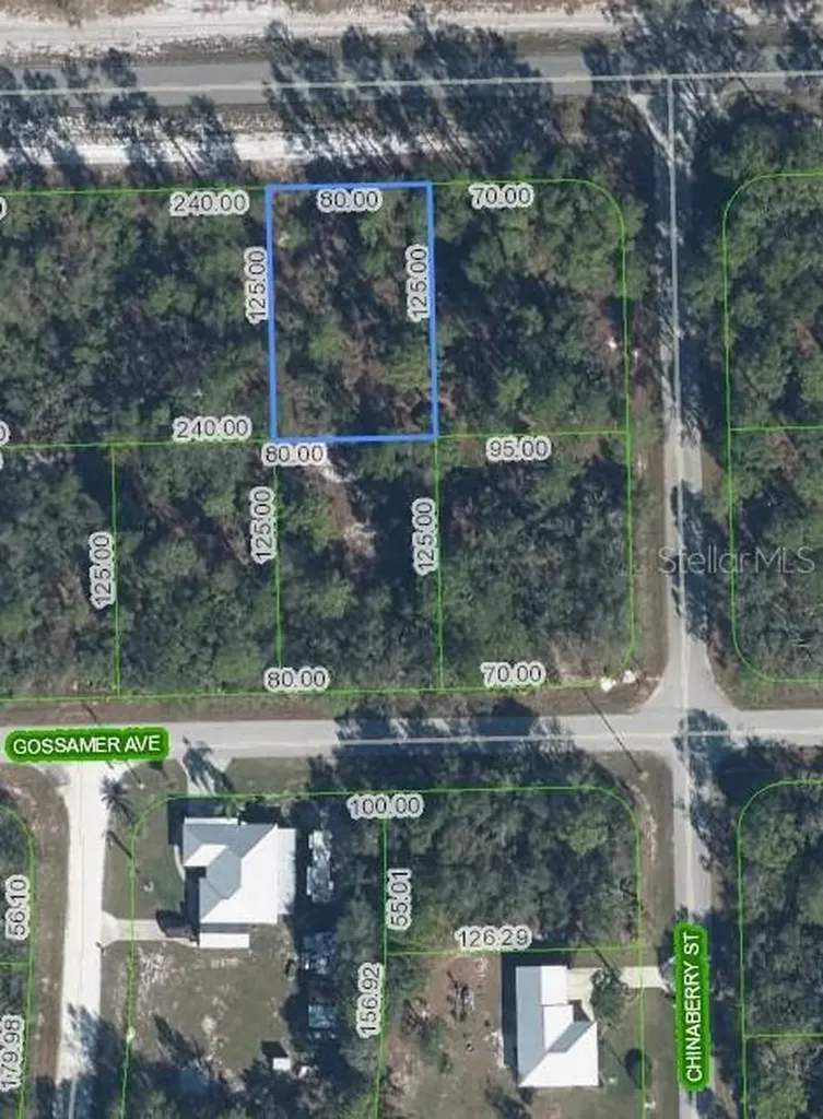 3226 Lake June Boulevard Lake Placid FL 33852