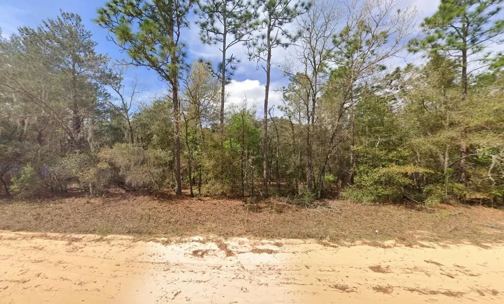 421 Brett Avenue Interlachen FL 32148