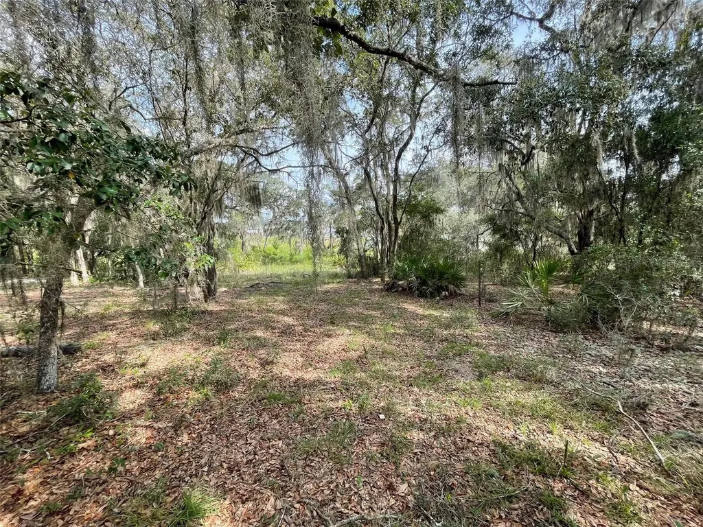 Lots 462 & 463 SW Shorewood Drive Dunnellon FL 34431
