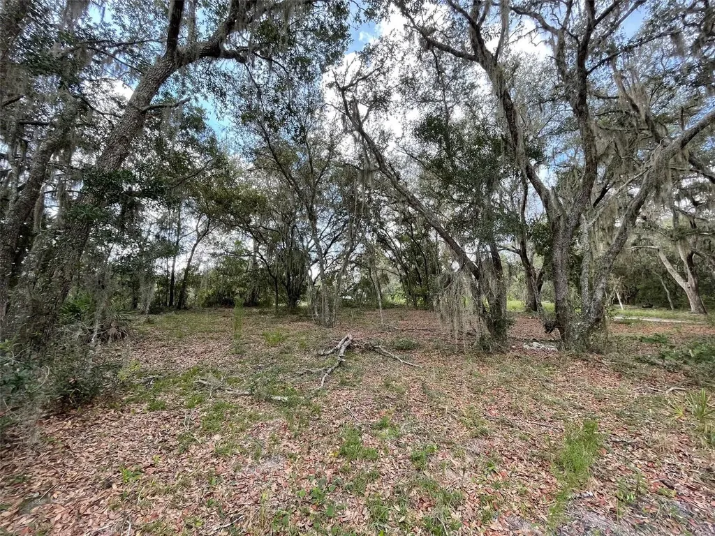 Lots 462 & 463 SW Shorewood Drive Dunnellon FL 34431
