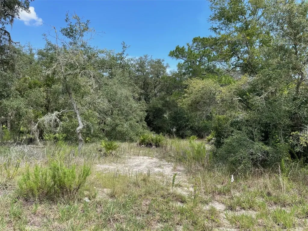 Lots 462 & 463 SW Shorewood Drive Dunnellon FL 34431