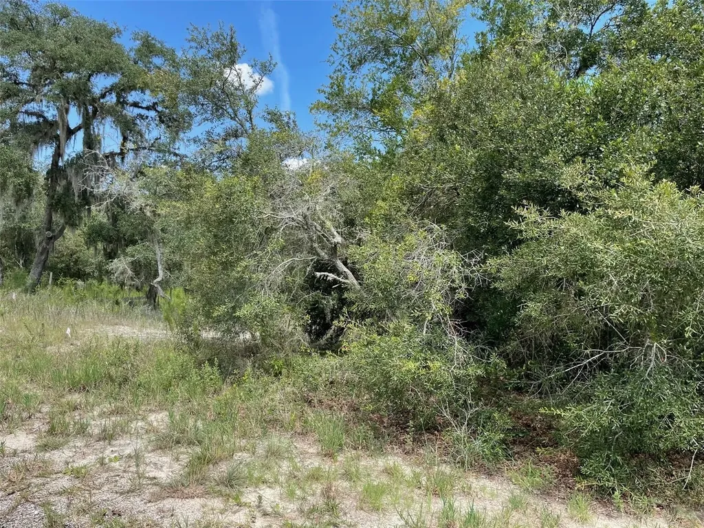 Lots 462 & 463 SW Shorewood Drive Dunnellon FL 34431