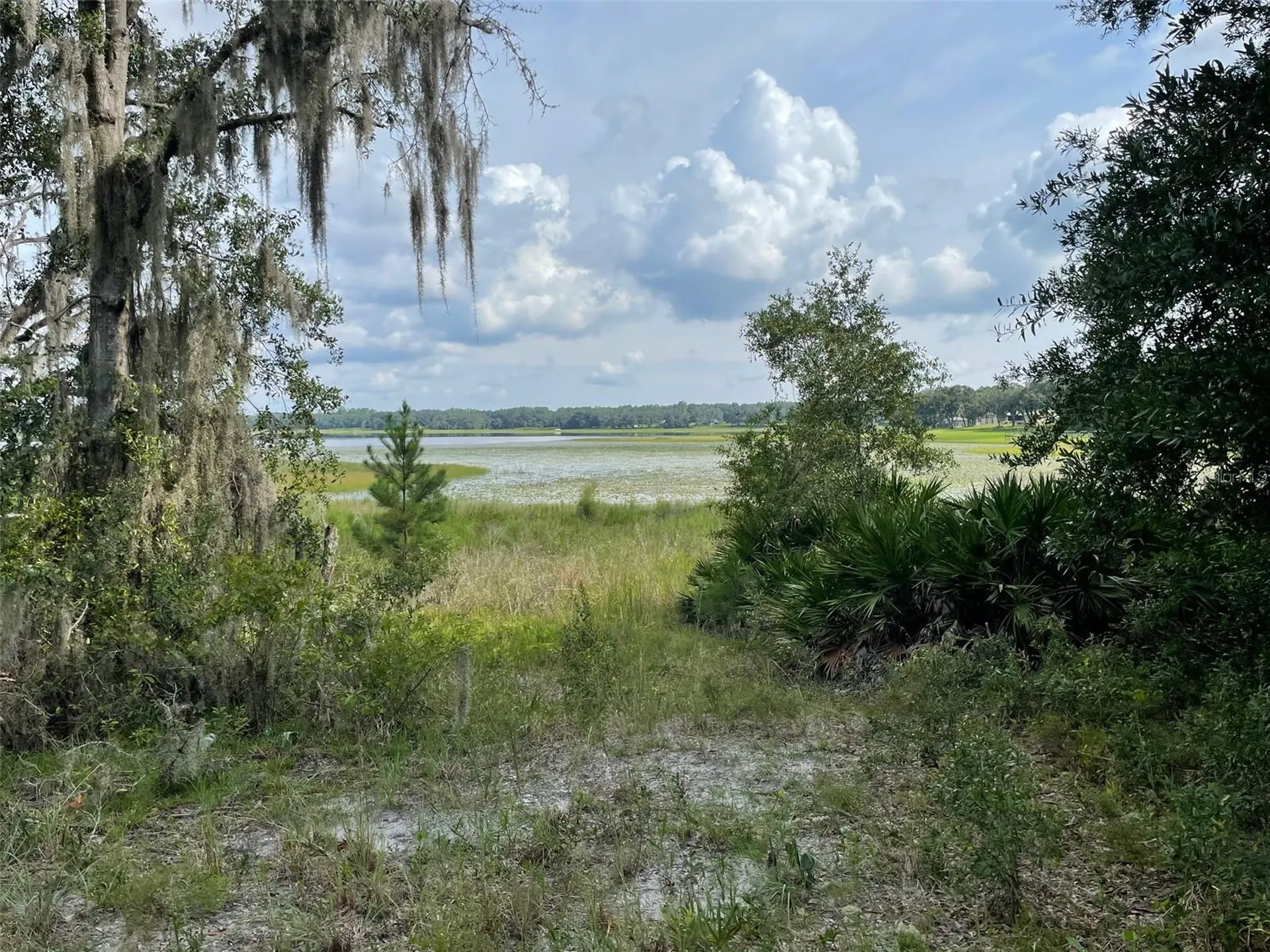 Lots 462 & 463 SW Shorewood Drive Dunnellon FL 34431