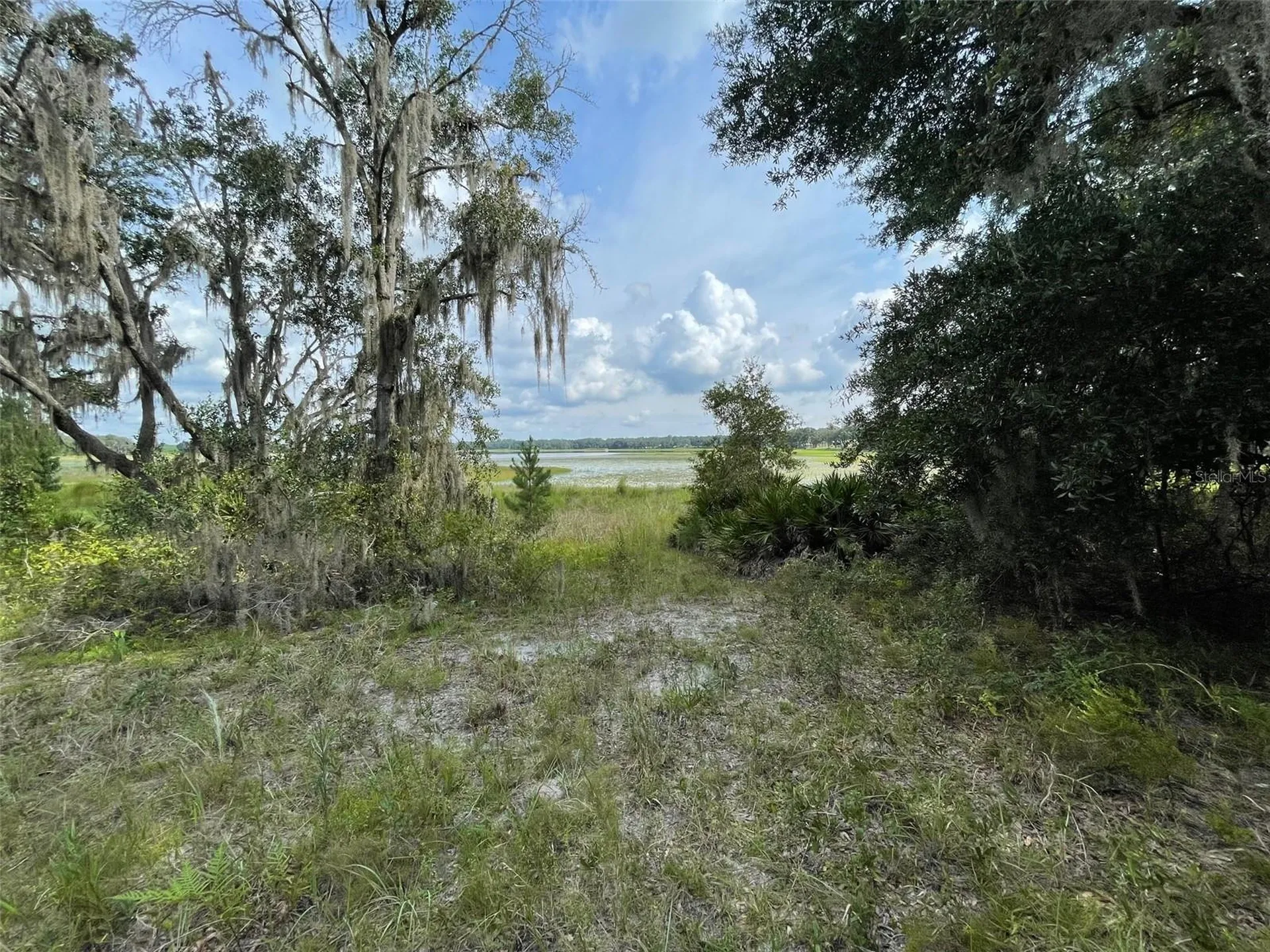 Lots 462 & 463 SW Shorewood Drive Dunnellon FL 34431