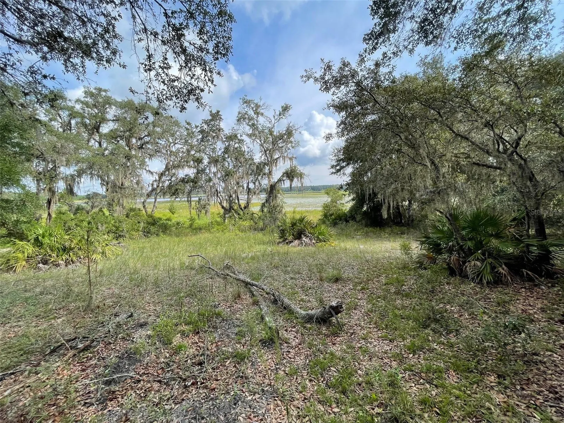Lots 462 & 463 SW Shorewood Drive Dunnellon FL 34431
