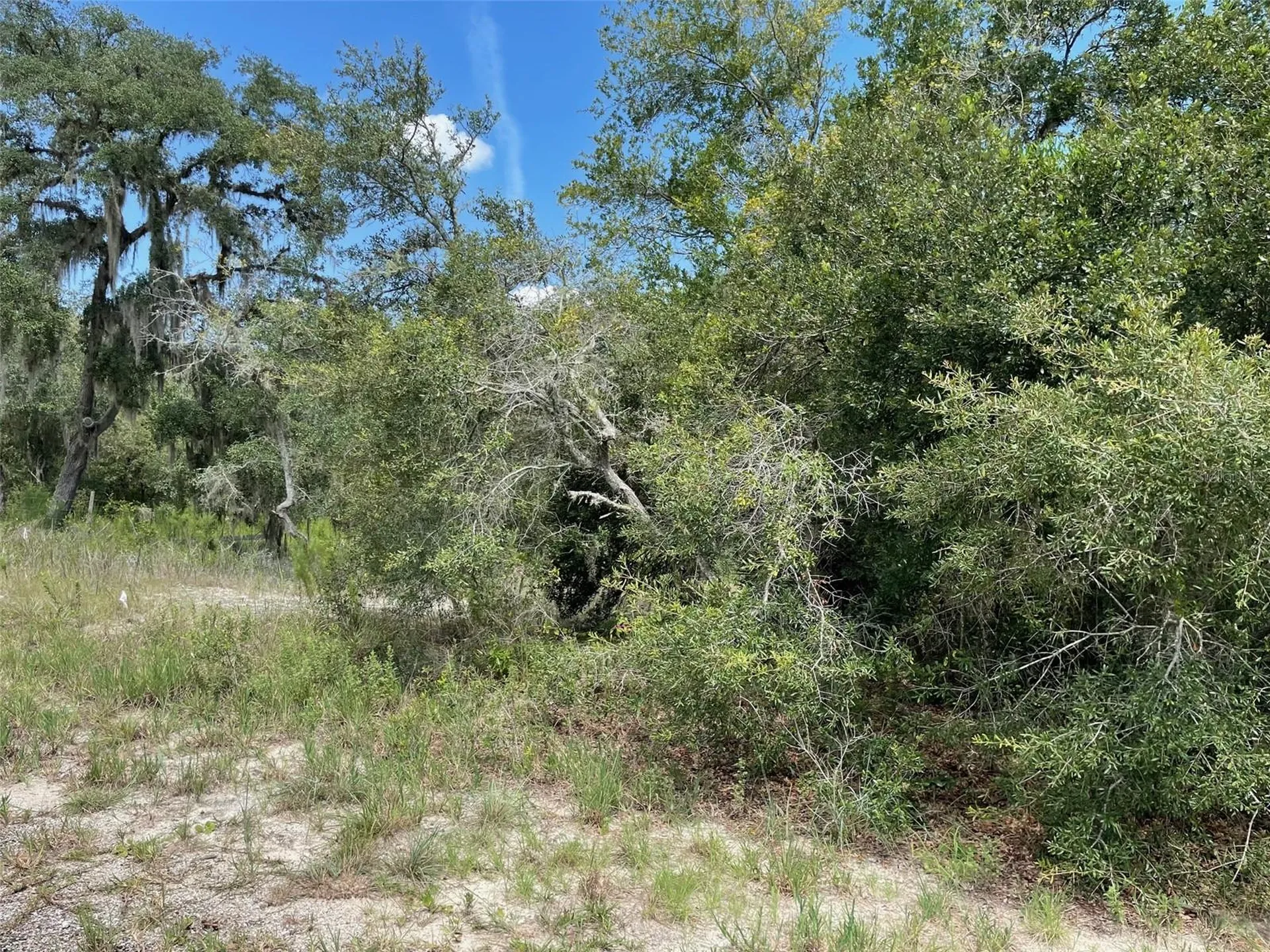 Lots 462 & 463 SW Shorewood Drive Dunnellon FL 34431